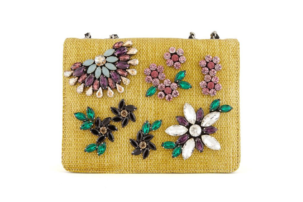 Coin purse, Wallet, Fashion accessory, Leaf, Bag, Handbag, Beige, Plant, Rectangle, Flower, 