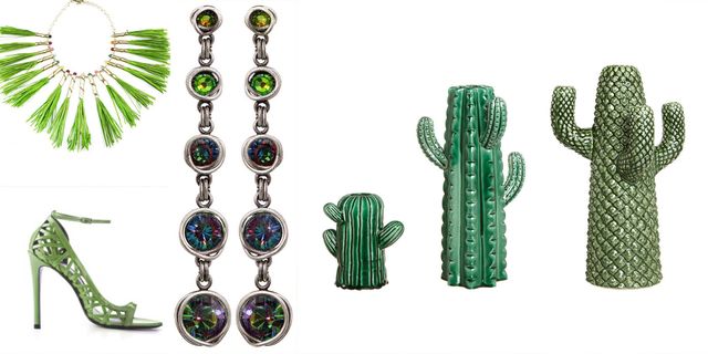 Cactus, Green, Jewellery, Fashion accessory, Emerald, Earrings, Succulent plant, Saguaro, Plant, Caryophyllales, 