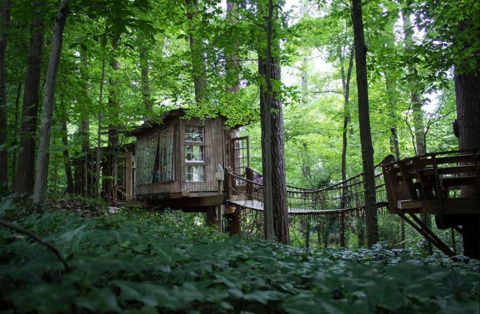 casa sull'albero airbnb