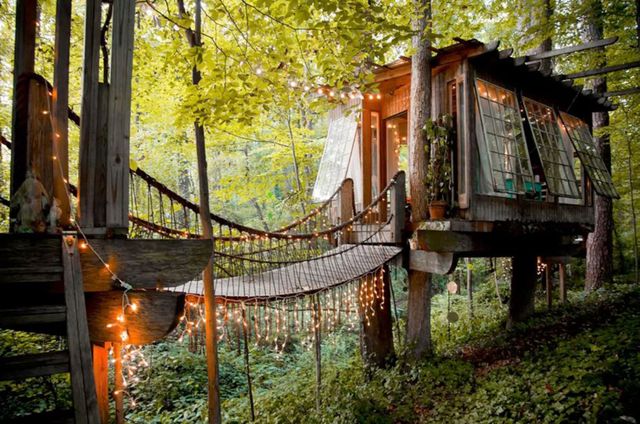 casa sull'albero airbnb
