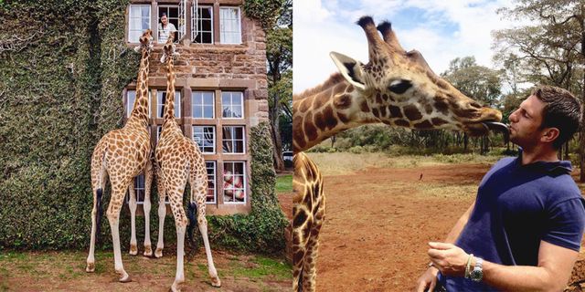 hotel giraffe africa