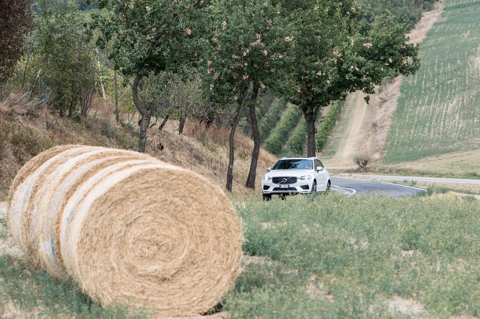 Vehicle, Hay, Straw, Off-roading, Car, Road, Grass, Tree, Off-road vehicle, Rural area, 