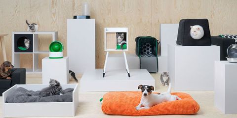 IKEA lurvig collezione per cani e gatti