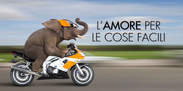 Elephant, Elephants and Mammoths, Mode of transport, Vehicle, Motor vehicle, Motorcycle, Motorcycling, Indian elephant, Car, Wildlife, 