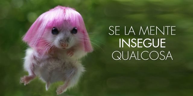 Skin, Pink, Adaptation, Snout, Organism, Hamster, Grass, Font, Photo caption, Whiskers, 