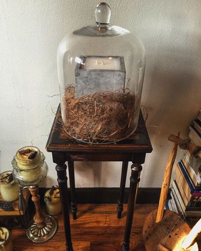 Wood, Bookcase, Shelf, Shelving, Wood stain, Cage, Home accessories, Still life photography, Pet supply, Bottle, 