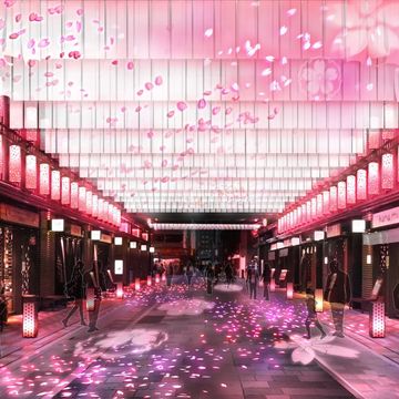 バルや屋台、夜桜も！「日本橋 桜フェスティバル」