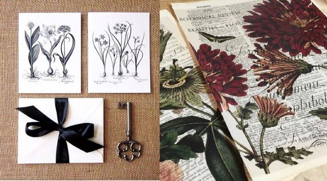 Petal, Botany, Art, Paper product, Flowering plant, Paper, Illustration, Creative arts, Ribbon, Daisy family, 