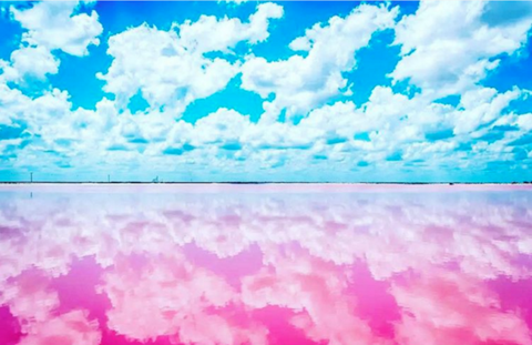 この世のものとは思えない メキシコにある ピンクの海