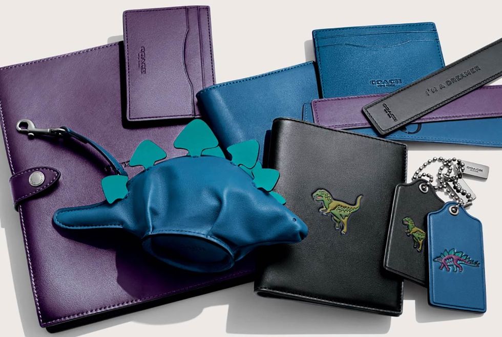 Purple, Wallet, Bag, Shoulder bag, Leather, Everyday carry, 