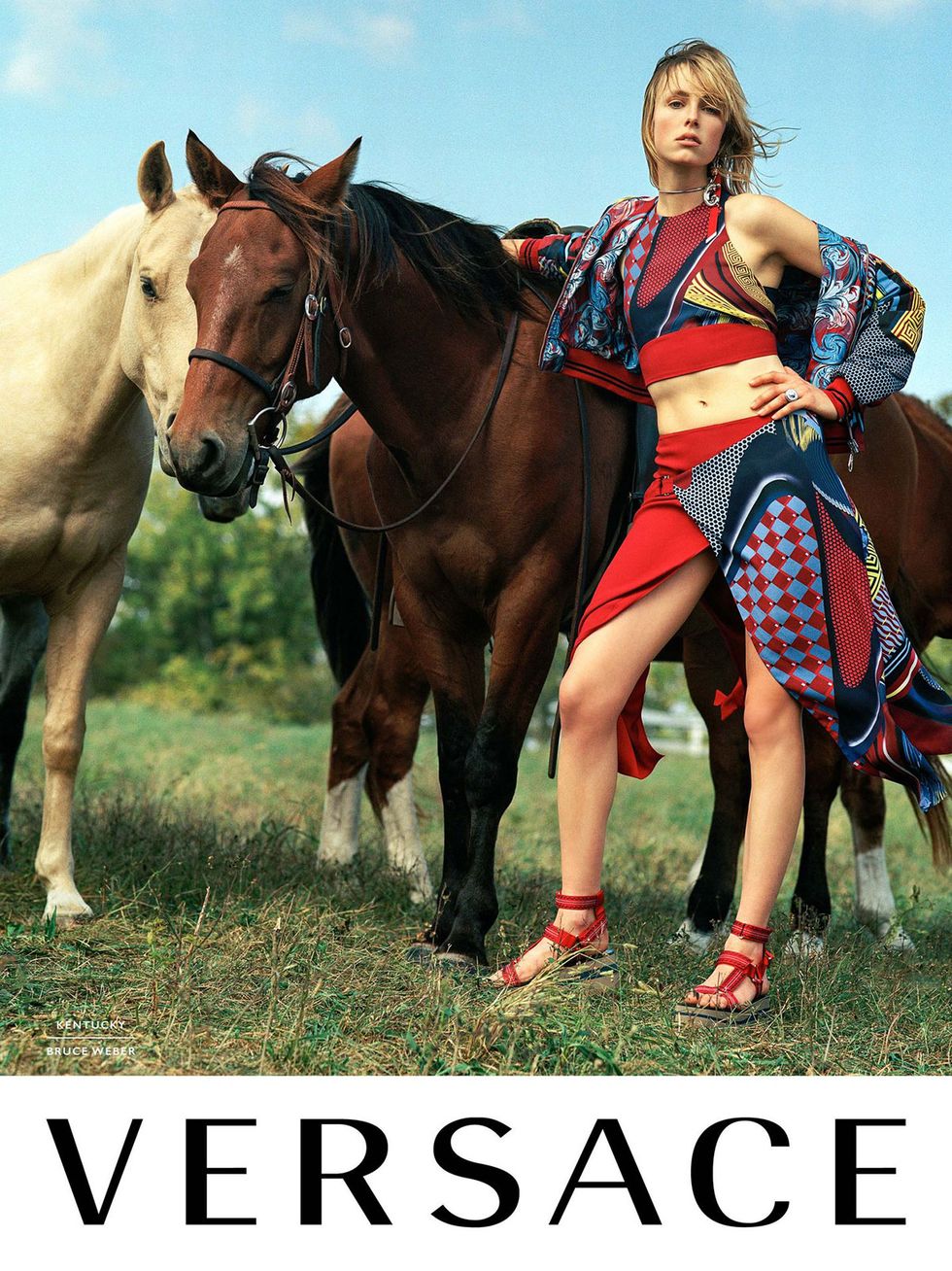 Human, Horse, Bridle, Horse supplies, People in nature, Halter, Working animal, Horse tack, Sorrel, Liver, 