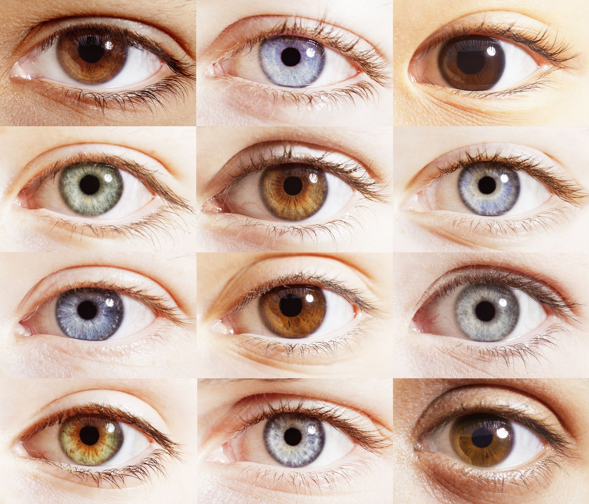 実は 目の色 は誰でも同じ その科学的な根拠とは