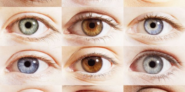 目の色が人によって違う理由とは 科学的根拠をもとに解説
