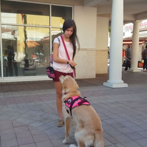 インスタで人気！起立性頻脈症候群（POTS）を患っている女の子ジャッキーと盲導犬のハーロウ