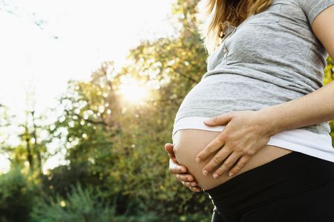 妊娠中に 体内で起こる変化を紹介した動画がすごい