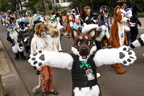 犬を連れ 誤って 着ぐるみイベント に参加した結果