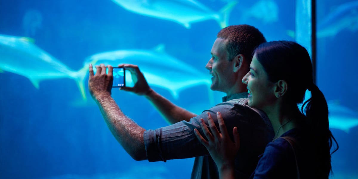 気になる外国人の彼と 水族館 デート オトナの恋活英会話vol 18