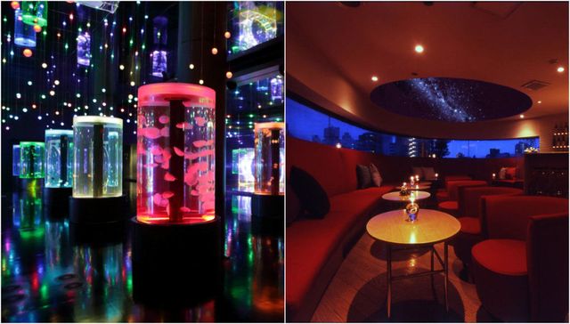 Light, Lighting, Nightclub, Bar, Drink, Interior design, Room, Music venue, Night, Ceiling, 