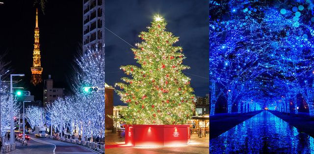 Christmas tree, Christmas decoration, Tree, Christmas lights, Christmas, Lighting, Light, Landmark, Christmas eve, Sky, 