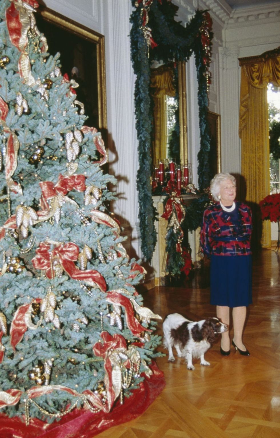 <p>ブッシュ元大統領の妻バーバラの愛犬、ミリーがクリスマスデコレーションに同行。<span class="redactor-invisible-space"></span></p>