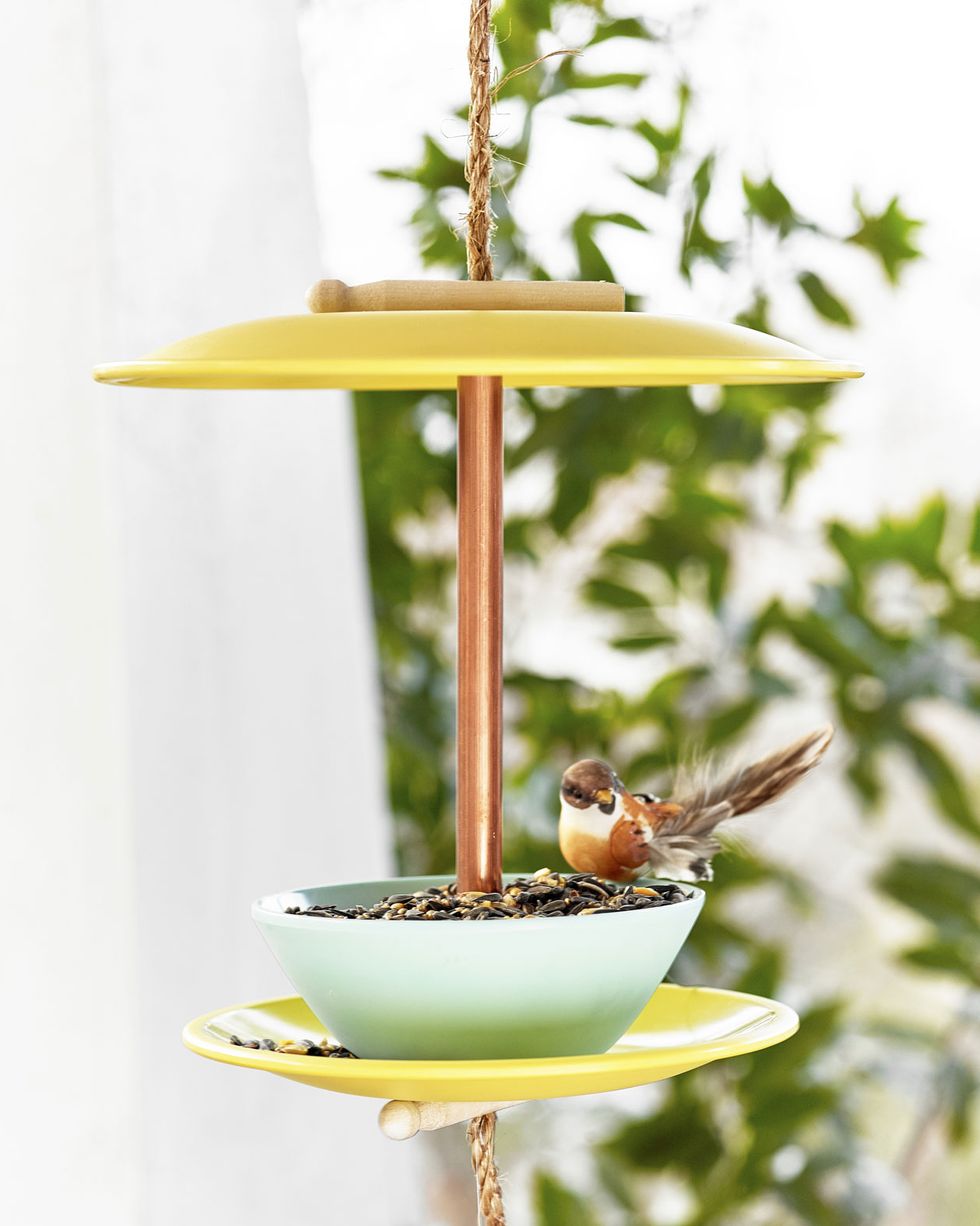 bird feeder backyard ideas