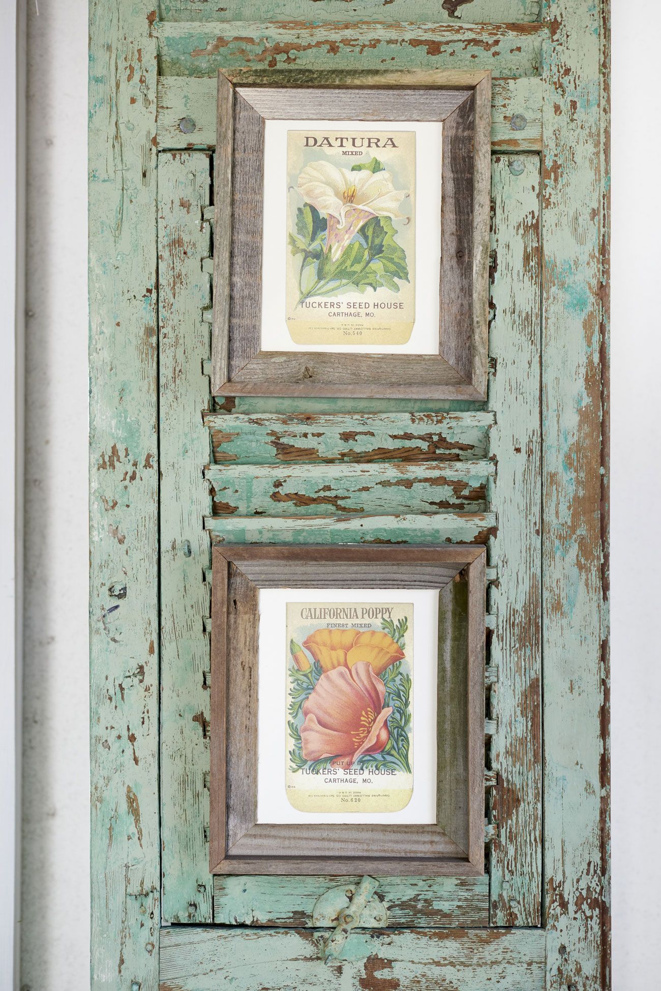 14 Ways To Perk Up Your Garden Shed