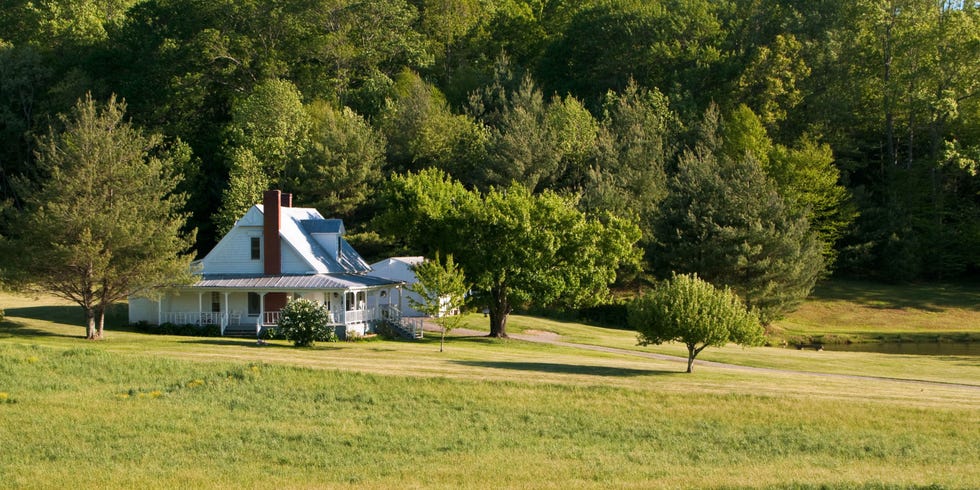 Country Home Decor Country Home Essentials Country Home Decor Country Home Essentials