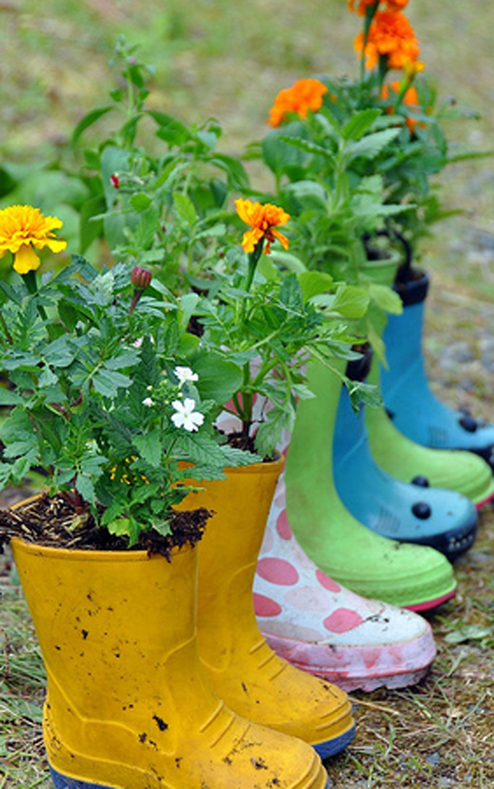 10 Creative DIY Garden Planters Made From Upcycled Finds DIY Planter Box   4668389298 4ed69ea69b 1 