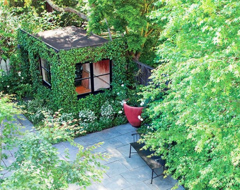 This Garden Shed Was Transformed Into An Enchanting Backyard