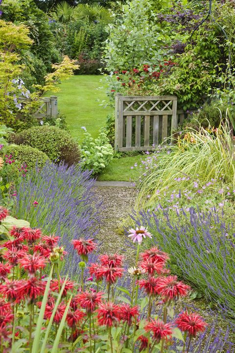 9 Cottage Style Garden Ideas - Gardening Ideas