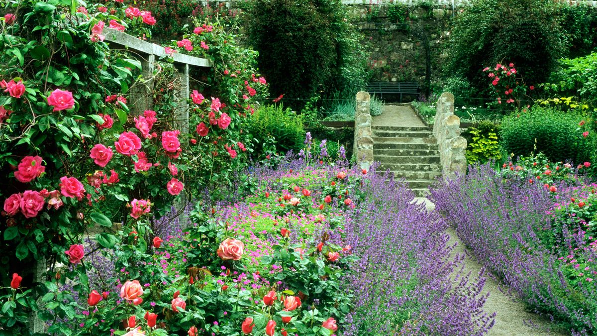 9 Cottage Style Garden Ideas - Gardening Ideas