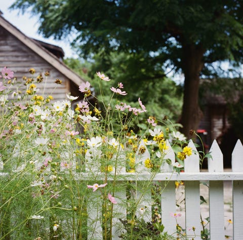 9 Cottage Style Garden Ideas - Gardening Ideas