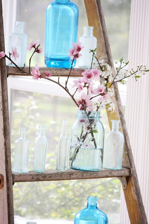 Blue, Branch, Glass, Flower, Aqua, Twig, Pink, Teal, Bottle, Petal, 