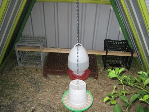 Swingset Chicken Coop Chicken Coop Ideas