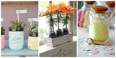 Flowerpot, Petal, Serveware, Mason jar, Lavender, Flowering plant, Food storage containers, Houseplant, Teal, Peach, 