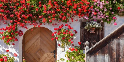 Image result for flower landscape