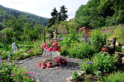 Dreams Of A Gardening Career How To Start In Landscape Design I M A Native New Yorker Who Moved To The Bay Area In California Two And Half Years Ago One Of Things That Drew Me This Was Its Mild