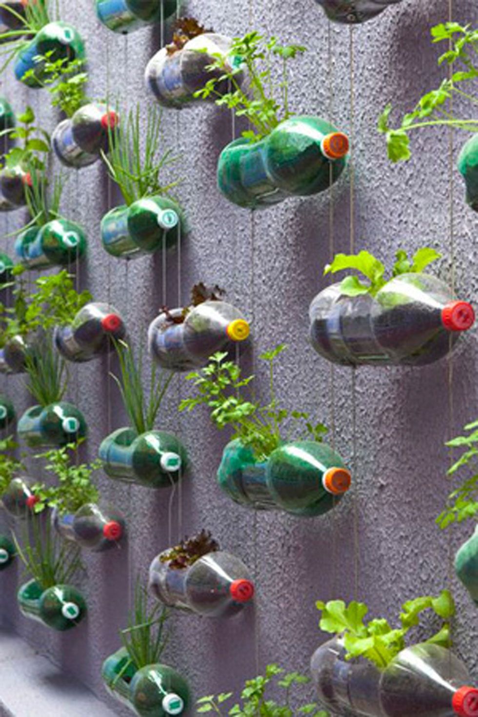 recycled bottled vertical garden 