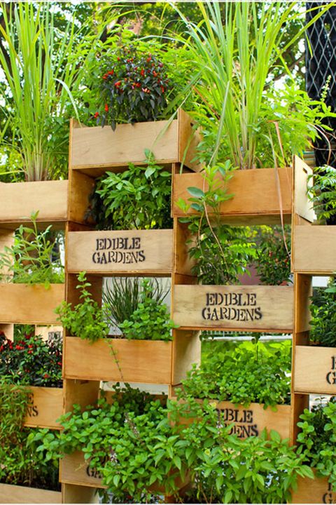 how to plant a vertical garden