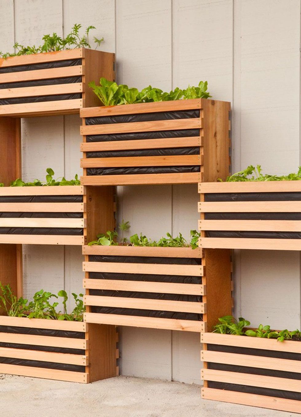 vertical garden bed