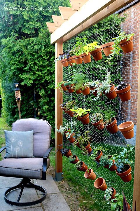 Plant A Vertical Garden, Outdoor Wall Garden