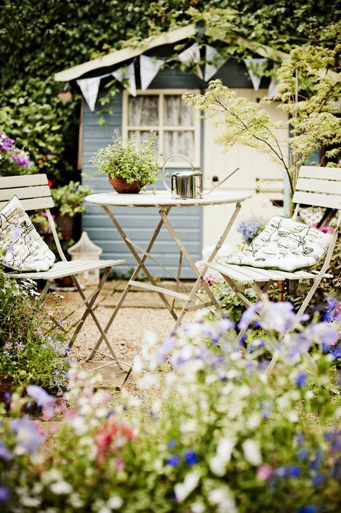 Plant, Shrub, Flower, Garden, House, Groundcover, Backyard, Lavender, Flowerpot, Home, 