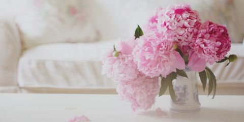 Petal, Flower, Pink, Flowering plant, Cut flowers, Bouquet, Flower Arranging, Floristry, Linens, Artificial flower, 