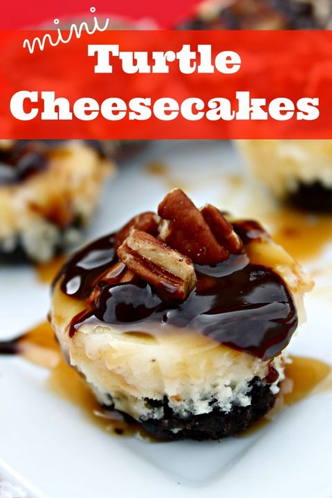 mini-cheesecake-turtle