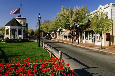 Flag, Plant, Neighbourhood, Town, Flag of the united states, Road surface, Petal, Flower, Residential area, Street, 