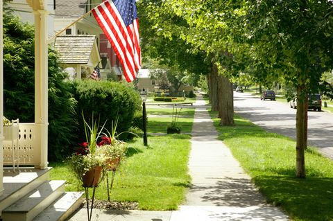 Flag, Flag of the united states, Woody plant, Pole, Garden, Flowerpot, Flag Day (USA), Walkway, Sidewalk, Shrub, 