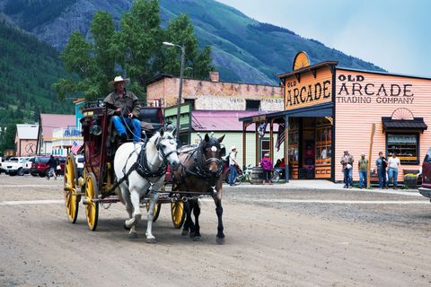 Mode of transport, People, Bridle, Horse supplies, Halter, Carriage, Rein, Horse harness, Working animal, Horse, 