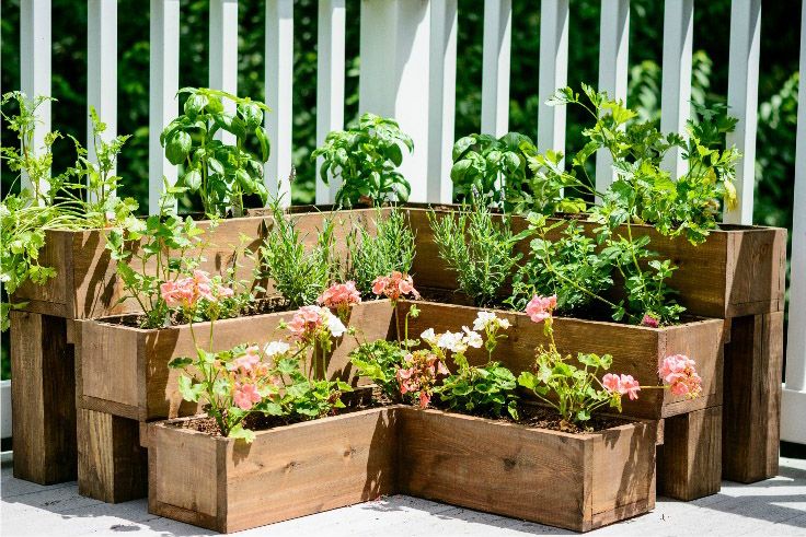 small backyard ideas plant beds