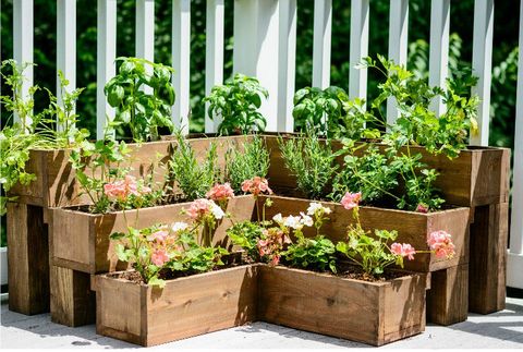 small backyard ideas plant beds