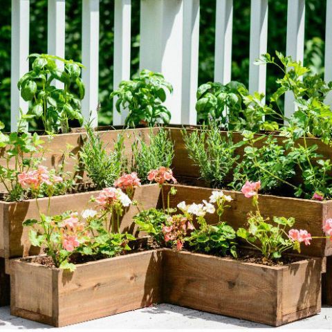 Flowerpot, Plant, Garden, Herb, Flower, Grass, Houseplant, Vegetable, Annual plant, Fence, 